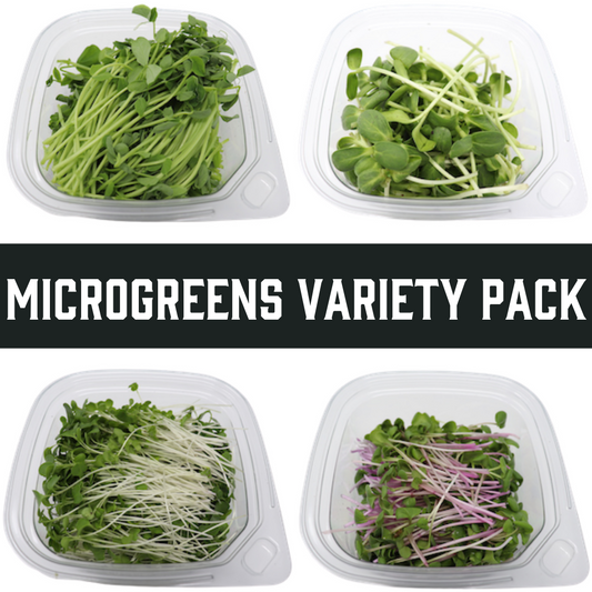 Monthly Microgreens Variety Pack Home Delivery Subscription