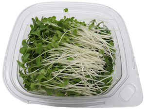 Micro Broccoli