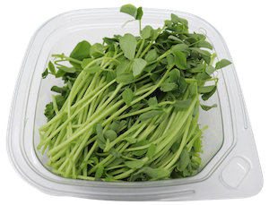 Pea Shoots